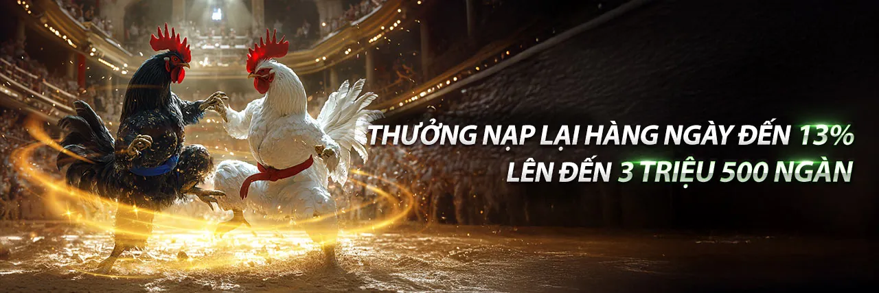 Đá Gà Trực Tiếp 76 – Xem Trực Tiếp Đá Gà Campuchia Hôm Nay